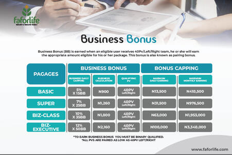 BUSINESS BONUS